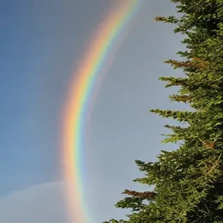 transparent rainbow