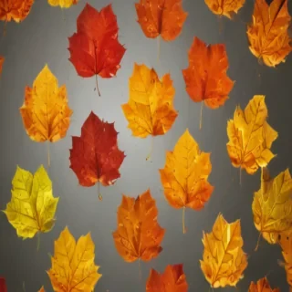 png fall leaves
