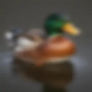 duck png