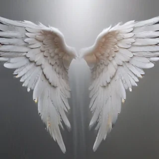 angel wings wallpaper