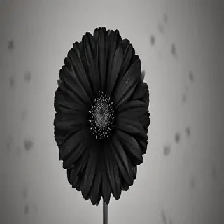black flower
