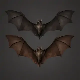 bat wings png