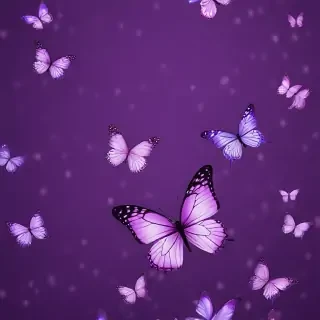 purple wallpapers butterfly