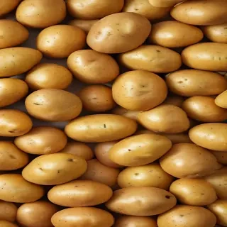 potato png