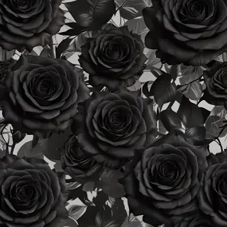black roses background