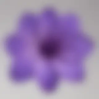 purple flower png