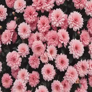 cute aesthetic wallpapers flowers