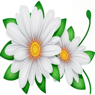 transparent background flower clipart
