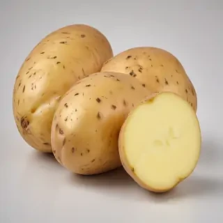 potato png