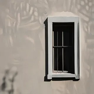 shadow window