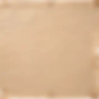 torn paper png