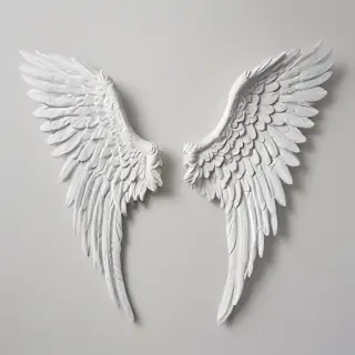picture of angel wings