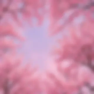 pretty wallpapers aesthetic
