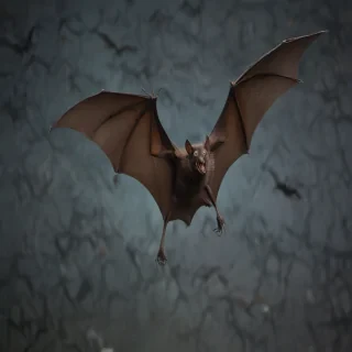 images of bats for halloween