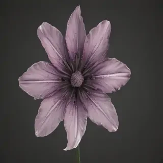 flower outline png