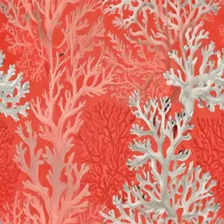 coral color