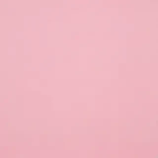 pastel pink bg