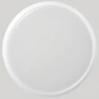 white circle png