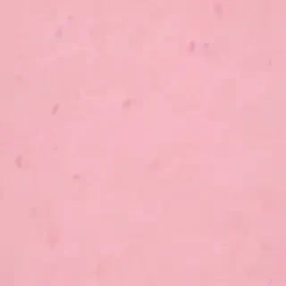 pastel pink bg
