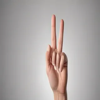 middle finger background