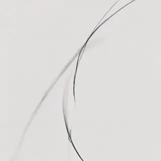 curved line png