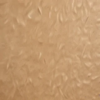 grain paper texture