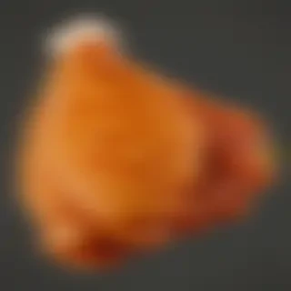 chicken wing png