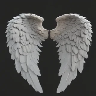 angel wings png transparent