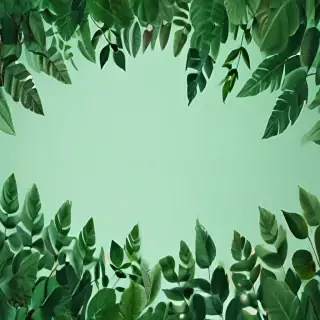 aesthetic background green