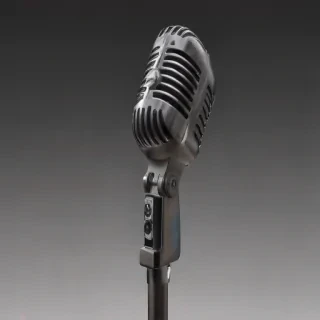 microphone png transparent