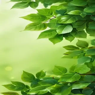background with green leaves