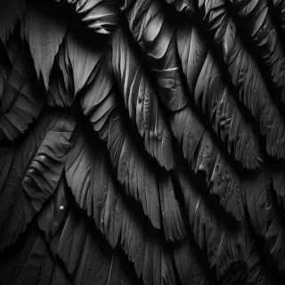 black and white iphone wallpaper