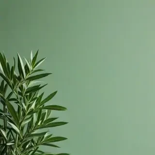 sage green wallpaper aesthetic