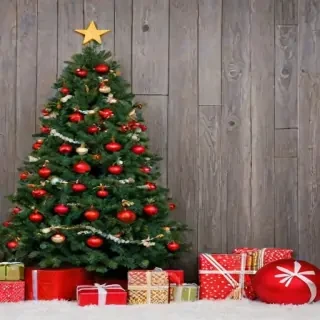 christmas cover photos