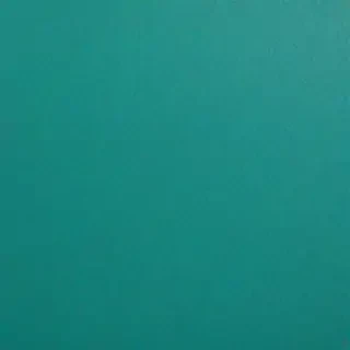 plain teal background