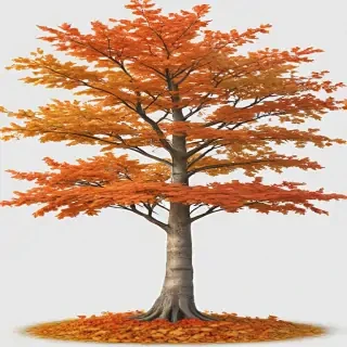 autumn tree png