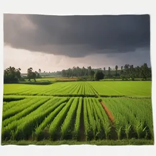 farmland png