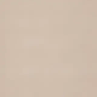 canvas texture overlay