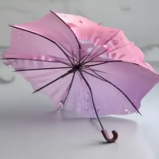 umbrella transparent background