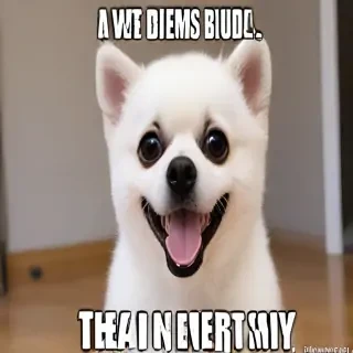 meme pictures