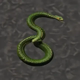 snake .png