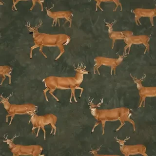 deer backgrounds