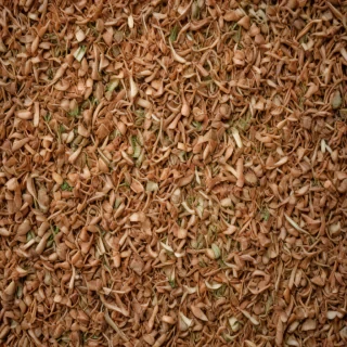 scratchy texture