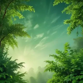 green backgrounds aesthetic