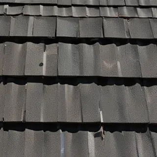 pictures of shingles