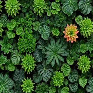 plants zoom backgrounds