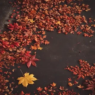 fall wallpaper for iphone