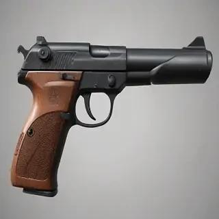 png gun