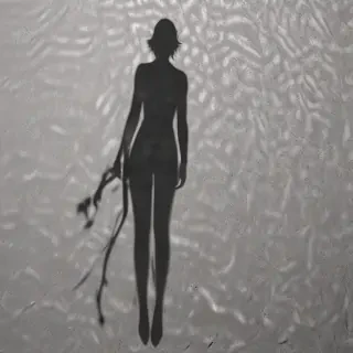 shadow transparent