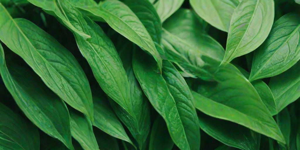green aesthetic background